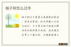 柚子树怎么过冬