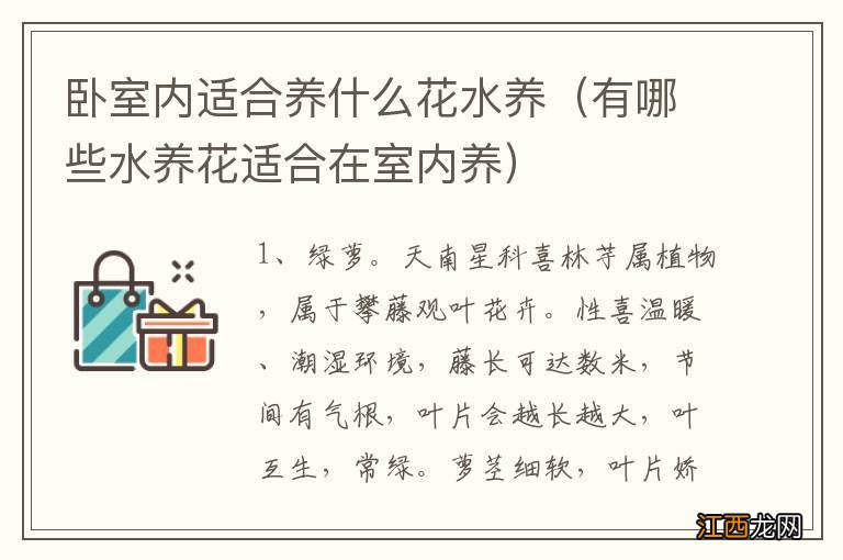 有哪些水养花适合在室内养 卧室内适合养什么花水养