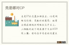 壳是哪对CP