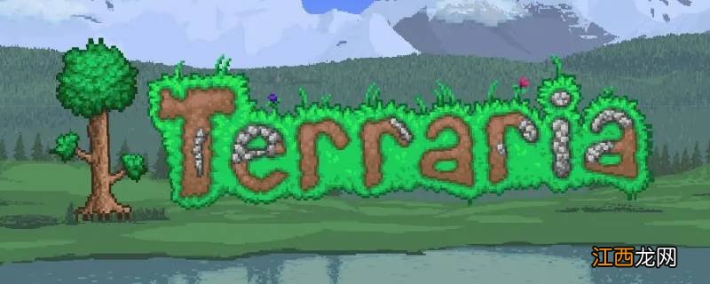 泰拉瑞亚none健是哪个