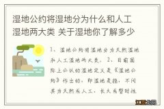 湿地公约将湿地分为什么和人工湿地两大类 关于湿地你了解多少