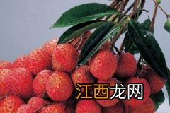 香菜的功效与作用有什么？香菜的营养价值有什么？