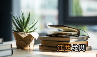 卧室内最适合养什么花 卧室内最适合养什么花草