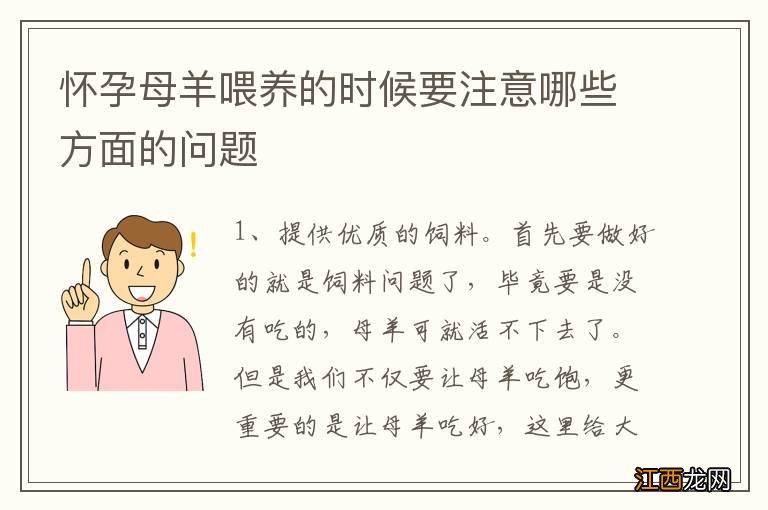 怀孕母羊喂养的时候要注意哪些方面的问题