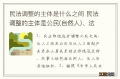 自然人 民法调整的主体是什么之间 民法调整的主体是公民、法人和其他组织之间