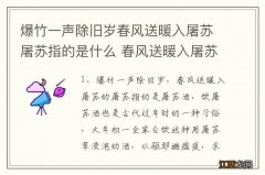 爆竹一声除旧岁春风送暖入屠苏屠苏指的是什么 春风送暖入屠苏中屠苏所指简述