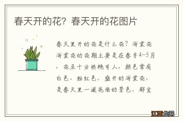 春天开的花?春天开的花图片