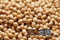 调味品怎样用可以调理体质？调味品使用注意事项有哪些？