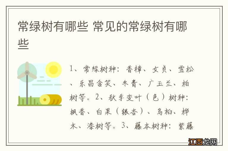 常绿树有哪些 常见的常绿树有哪些