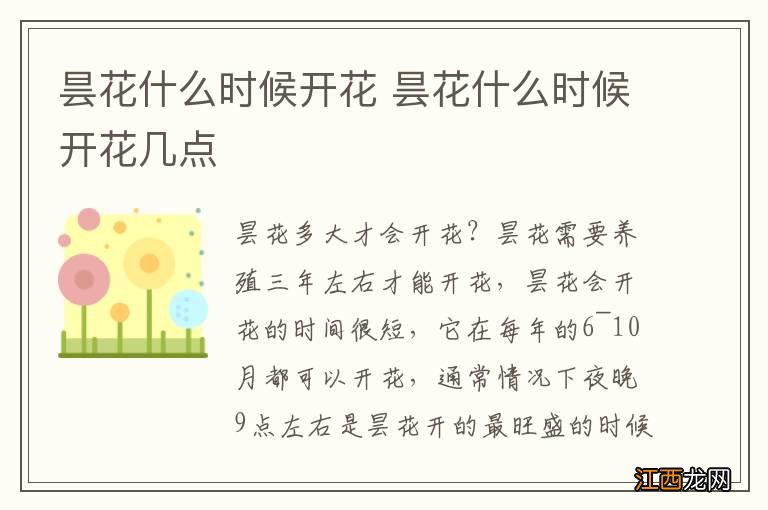昙花什么时候开花 昙花什么时候开花几点