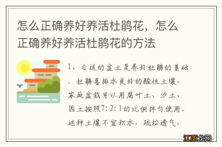 怎么正确养好养活杜鹃花，怎么正确养好养活杜鹃花的方法