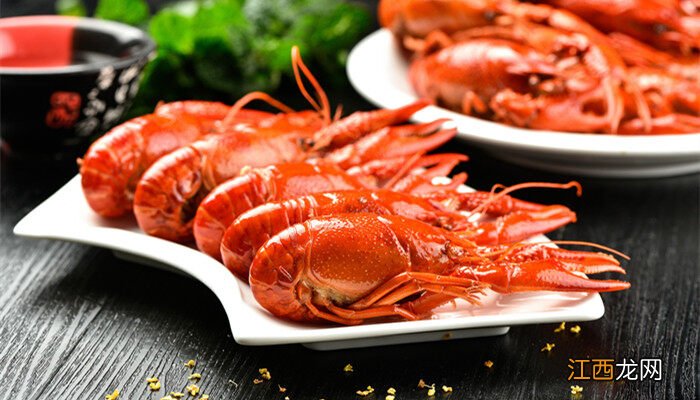 如何养龙虾 养殖技术 如何养龙虾