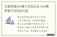 王者荣耀S29姜子牙怎么玩 S29赛季姜子牙玩法介绍