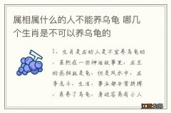 属相属什么的人不能养乌龟 哪几个生肖是不可以养乌龟的