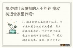 橡皮树什么属相的人不能养 橡皮树适合家里养吗?