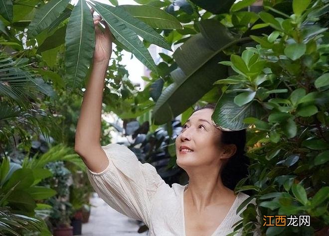 成龙女儿流落街头原因：吴绮莉报警赶Andi回加拿大，卓林为爱相随