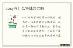 cosy有什么特殊含义吗