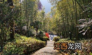 天目山旅游景点攻略天气 天目山旅游景点攻略