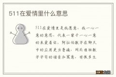 511在爱情里什么意思