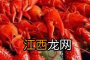 夏天宝宝不爱吃饭怎么办？那就试试这样做！