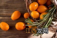 新陈代谢慢才会胖吗？5种提高新陈代谢的食物