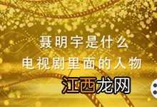 聂明宇是什么电视剧里面的人物 陈道明扮演的聂明宇是什么电视剧