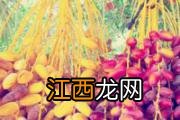 无籽葡萄孕妇能吃吗