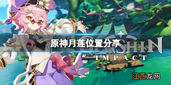 原神月莲采摘地点在哪-原神月莲位置分享
