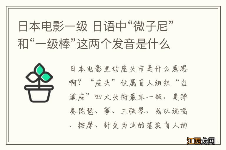 日本电影一级 日语中“微子尼”和“一级棒”这两个发音是什么意思？