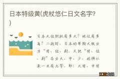 虎杖悠仁日文名字？ 日本特级黄