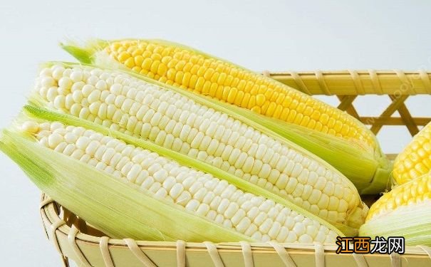 秋天吃玉米有什么好处?秋季吃玉米的好处有哪些?