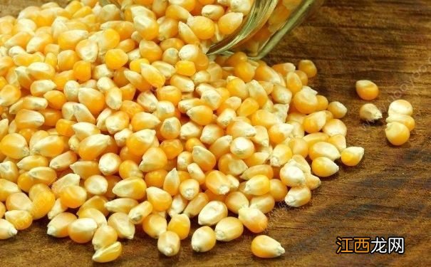秋天吃玉米有什么好处?秋季吃玉米的好处有哪些?