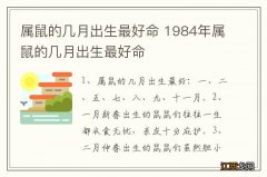 属鼠的几月出生最好命 1984年属鼠的几月出生最好命