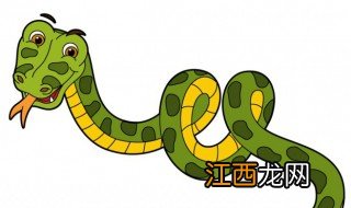 属蛇几月出生最好命运,属蛇几月出生最好命运男孩