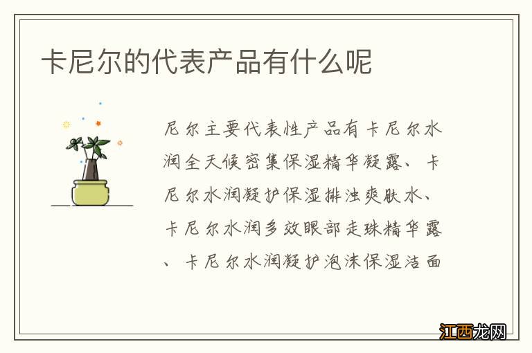 卡尼尔的代表产品有什么呢
