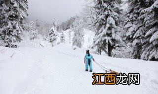 哈尔滨雪乡在哪里 哈尔滨雪乡是什么地方