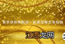 黄宗泽和周丽淇一起演过哪些电视剧 黄宗泽和周丽淇演的电视剧