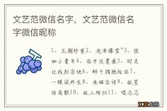 文艺范微信名字，文艺范微信名字微信昵称