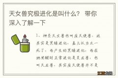 天女兽究极进化是叫什么？ 带你深入了解一下