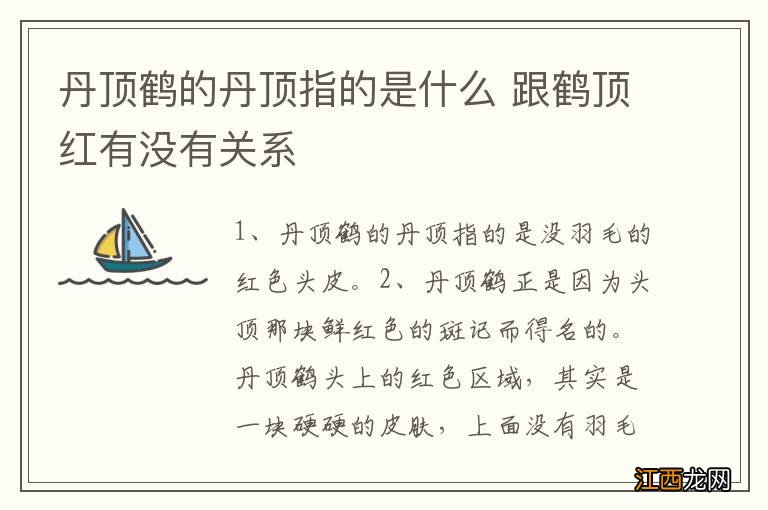 丹顶鹤的丹顶指的是什么 跟鹤顶红有没有关系