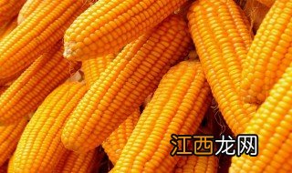 玉米什么时候传入中国的 玉米1531年传入中国