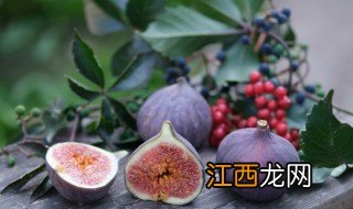 院子里能种无花果吗风水好吗 院子里能种无花果吗