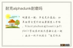 耐克alphadunk耐磨吗