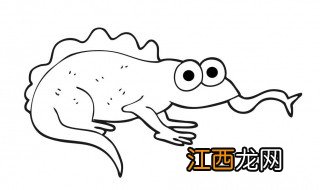 蜥蜴吃什么食物 蜥蜴吃的食物分享