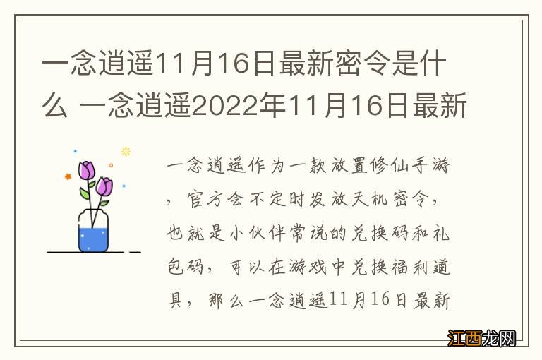 一念逍遥11月16日最新密令是什么 一念逍遥2022年11月16日最新密令