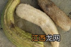 山药有什么养生吃法？山药怎样吃调理身体最好？