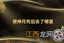 夜神月死后去了哪里 死亡笔记夜神月死后去了哪里