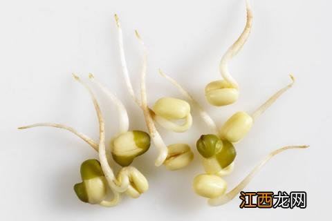 水培蔬菜哪個最快