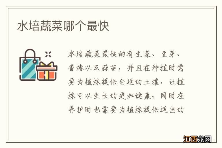 水培蔬菜哪個最快