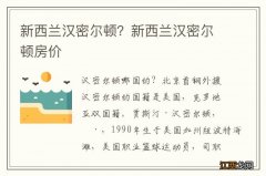 新西兰汉密尔顿？新西兰汉密尔顿房价